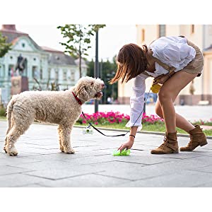 bolsos abonablees del impulso de los pogi