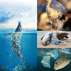 bolsos de basura abonablees