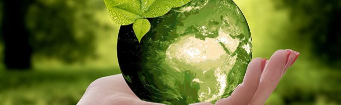 Bolsos de basura biodegradables