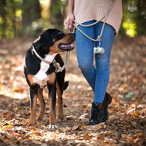 bolsos del impulso de los pogis
