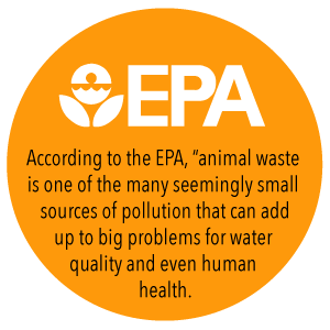 Bolso de basura no plástico abonable biodegradable del lazo del 100% modificado para requisitos particulares, lazo plástico del estiércol vegetal biodegradable de Eco 1