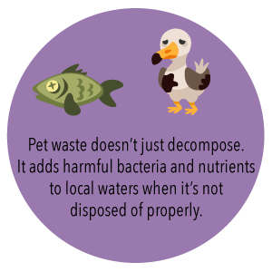 Bolso de basura no plástico abonable biodegradable del lazo del 100% modificado para requisitos particulares, lazo plástico del estiércol vegetal biodegradable de Eco 2