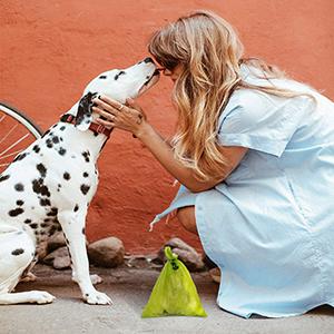 el perro de los bolsos del impulso empaqueta los bolsos inútiles del perro de los bolsos del perro de los bolsos del impulso del perro para el perrito del impulso que el impulso empaqueta bolsos de perrito