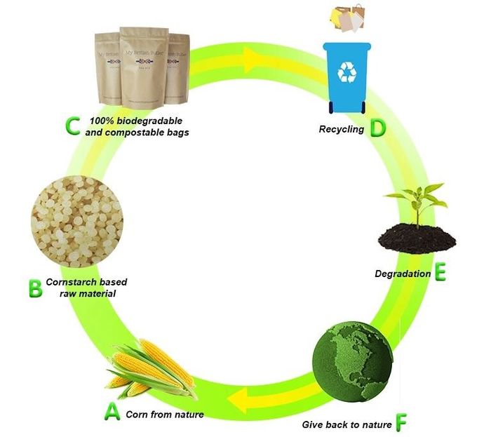 la aduana amistosa del eco imprimió bolsos inferiores del paquete del café del bloque de los bolsos del filamento del pla de alimentos del 100% que hacían compras del bolso biodegradable del envasado