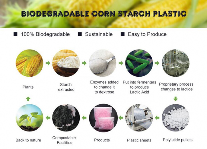 Bio bolso plástico degradable de la cremallera del PLA del almidón de maíz, bio k bolsos abonablees plásticos verdes degradables del estiércol vegetal