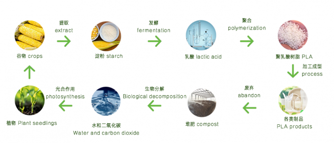 La planta biodegradable del 100% basó el soporte abonable del PLA de PBAT encima de los bolsos de la cerradura de la cremallera del papel de Kraft de la bolsa para el makeu de los cosméticos de la ropa