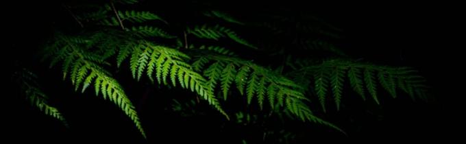 Las manijas reforzadas y la cremallera dual aislaron el bolso