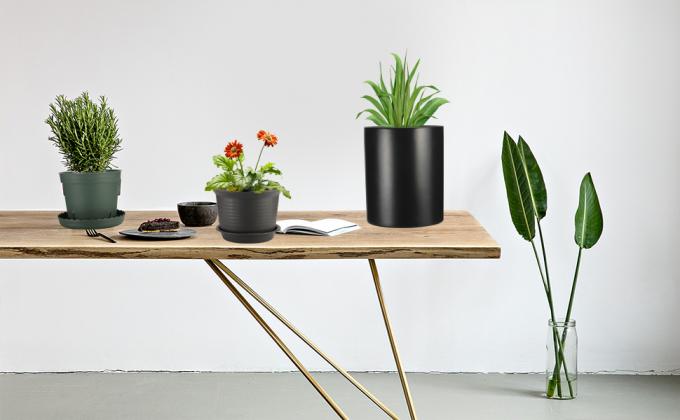potes para las plantas