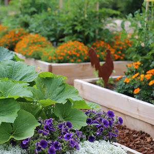 tela del paisaje, barrera de la mala hierba, ecogardener, tela del paisaje del ecogardener