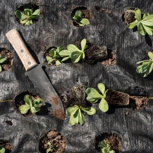 tela del paisaje, barrera de la mala hierba, ecogardener, tela del paisaje del ecogardener