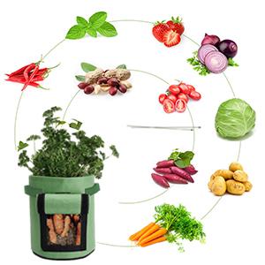 Patatas que crecen los envases