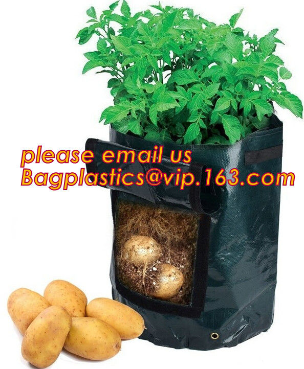 40 potes de la tela de la aireación de Gal Grow Biodegradable Garden Bags respirables con las manijas