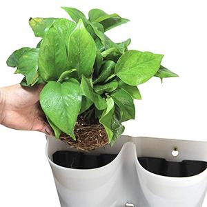 digno del pote al aire libre interior de la planta del arrancador de la semilla de las macetas de la pared de la vida de la pared del plantador del blanco de jardín