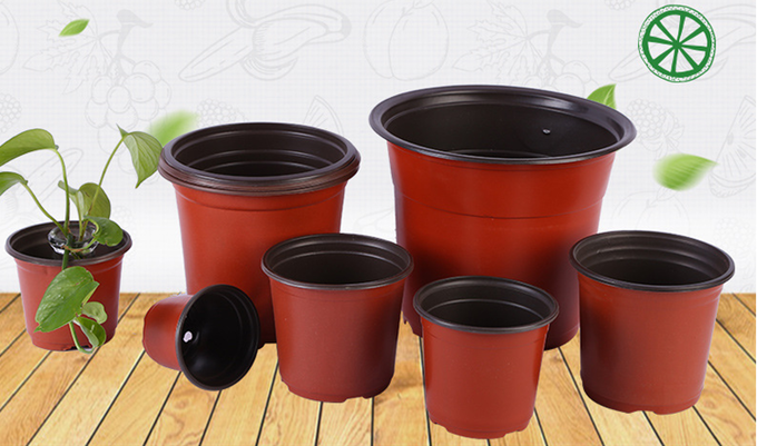 Sistemas cada vez mayor verticales hidropónicos de basura de la patata de los bolsos del lavabo biodegradable de la patata