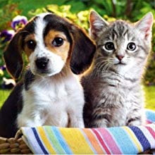 pequeños bolsos de basura para la arena para gatos
