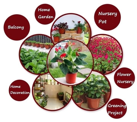 Nursery Flower Soft Cheap Plastic Plant Flower Pots Wholesale,Fleshy Flowerpots Cheap Plastic Garden Plant Flower Pots,