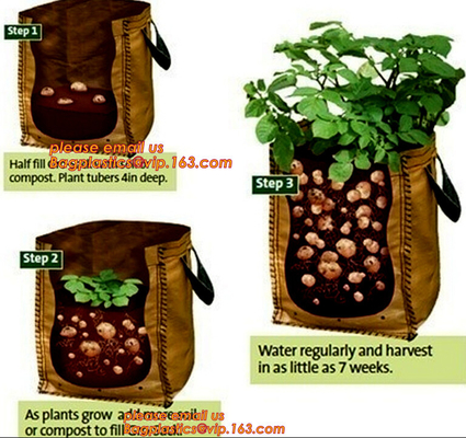 Eco-Friendly PE Potato Growing Bag Garden Planter Bags Reusable Washable Grow Pots Waterproof, Smart Pots for Vegetable