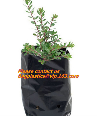 Drip Irrigation Potato Grow Planter Fabric Pots With Handles Grow Bag Planters , Panda Film, Black And White