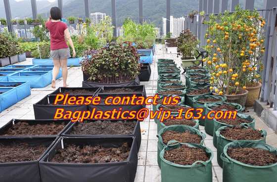 Drip Irrigation Potato Grow Planter Fabric Pots With Handles Grow Bag Planters , Panda Film, Black And White