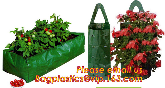 Hanging Growing Strawberry Bags Planter, Vertical Wall Hanging Planters, Herbs, Succulents, Artificial Plants or Flowers