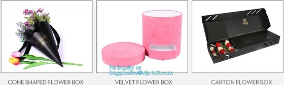 Custom Logo Fashion Sun Glasses Paper Packaging Box Case, Display Clear Pvc Gift Box, Cardboard Box