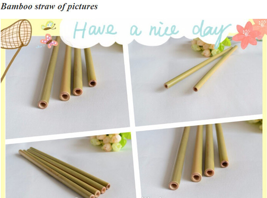 Eco Friendly Factory Directly Sales Customized Logo Bamboo Straw With Brush 100 % Natural Bamboo Straw bagease bagpac