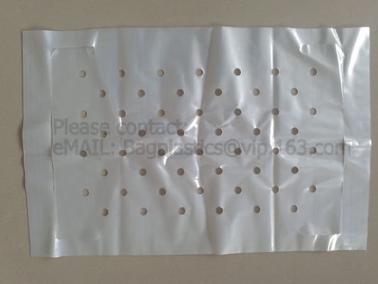 Clear Poly Sheeting Lay Flat Tubing Layflat Tubing Tubing Bags Auto Bags Polythene Sheet Polythene Packaging Film, Bagea
