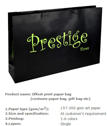 Nice Design Paper Shopping Bag , Recycle / Environmental Luxury Shopping Paper Bag , Raw Material Gift Kraft Paper